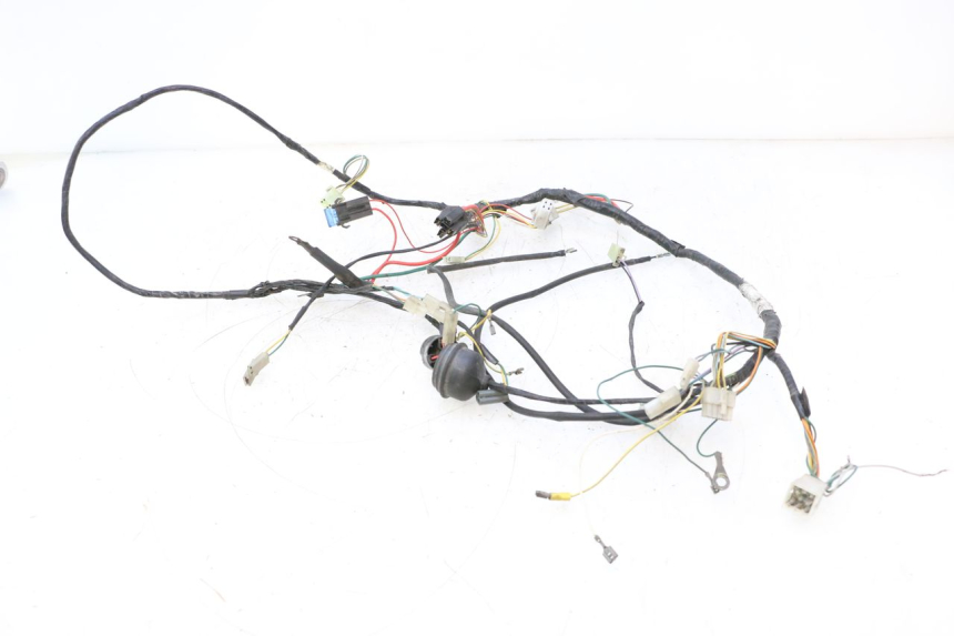 photo de WIRING HARNESS PEUGEOT TREKKER 50 (1995 - 2004) - Component detail
