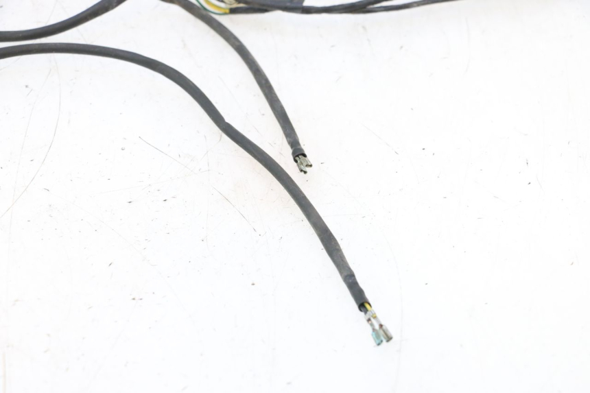 photo de WIRING HARNESS PEUGEOT TREKKER 50 (1995 - 2004) - Distinctive features
