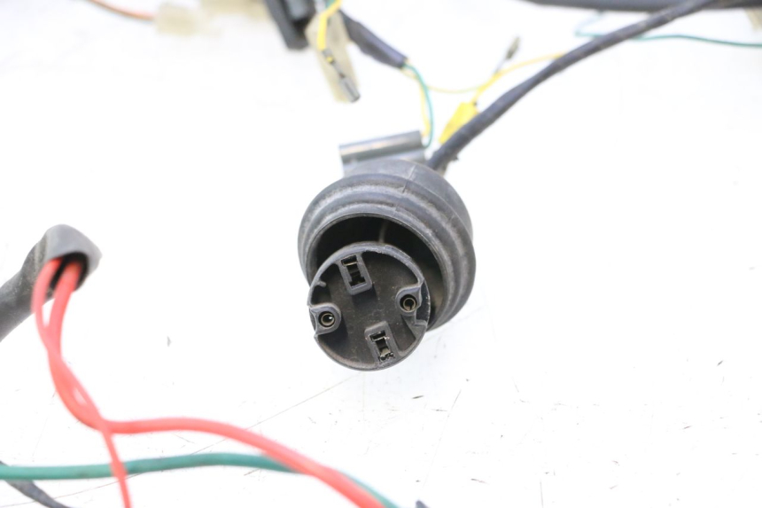 photo de WIRING HARNESS PEUGEOT TREKKER 50 (1995 - 2004) - Fixing points details