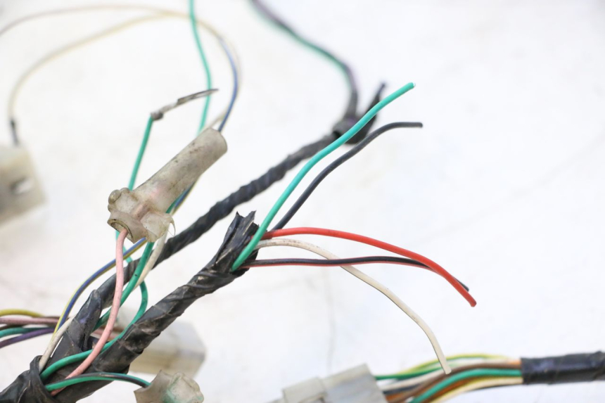 photo de WIRING HARNESS PEUGEOT TREKKER 50 (1995 - 2004) - Zoom on usage condition