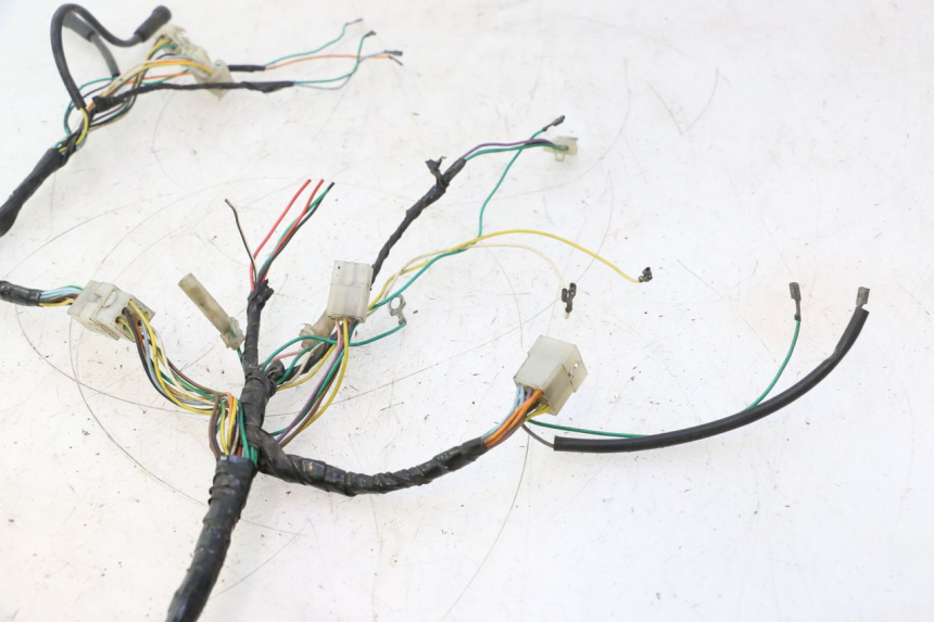 photo de WIRING HARNESS PEUGEOT TREKKER 50 (1995 - 2004) - Technical close-up