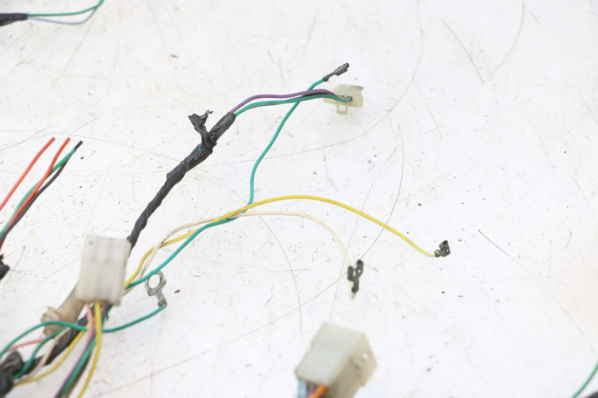 photo de WIRING HARNESS PEUGEOT TREKKER 50 (1995 - 2004) - Product overview