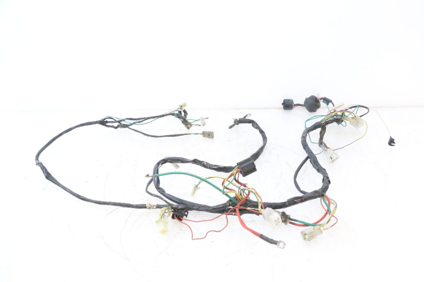photo de WIRING HARNESS PEUGEOT TREKKER 50 (1995 - 2004) - Component detail