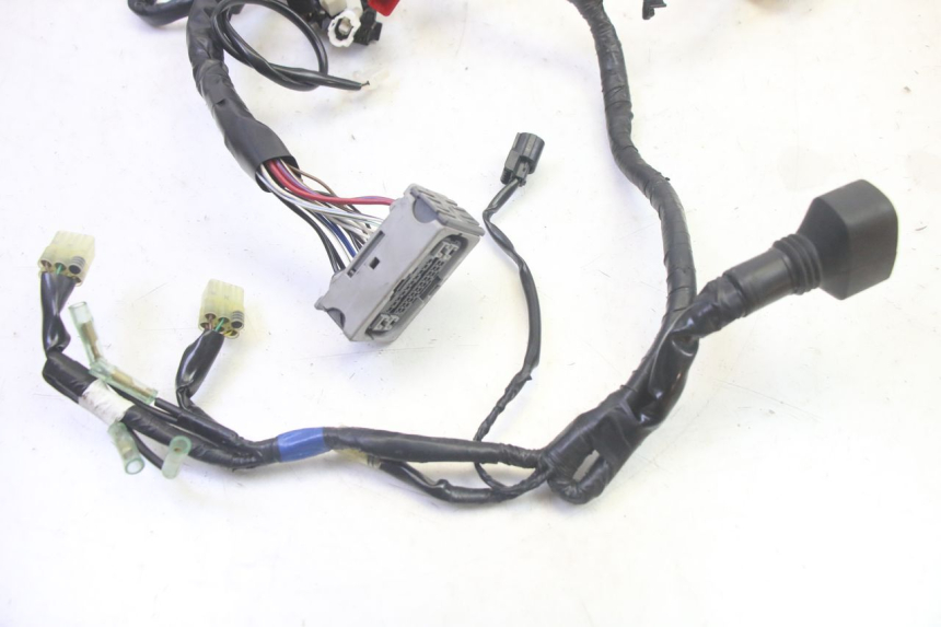 photo de WIRE HARNESS YAMAHA TRICITY 300 (2020 - 2024) - Checked used part