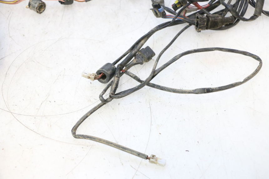 photo de WIRE HARNESS BOOM TRIKE FUN 500 (2004 - 2010) - Detailed visual inspection
