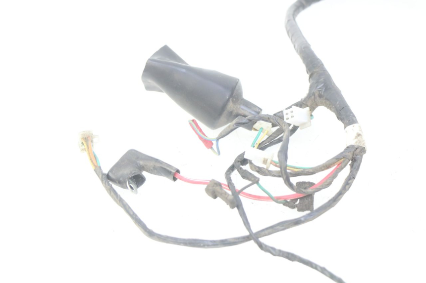 photo de WIRING HARNESS PEUGEOT TWEET 4T 50 (2010 - 2014) - Surface and material condition