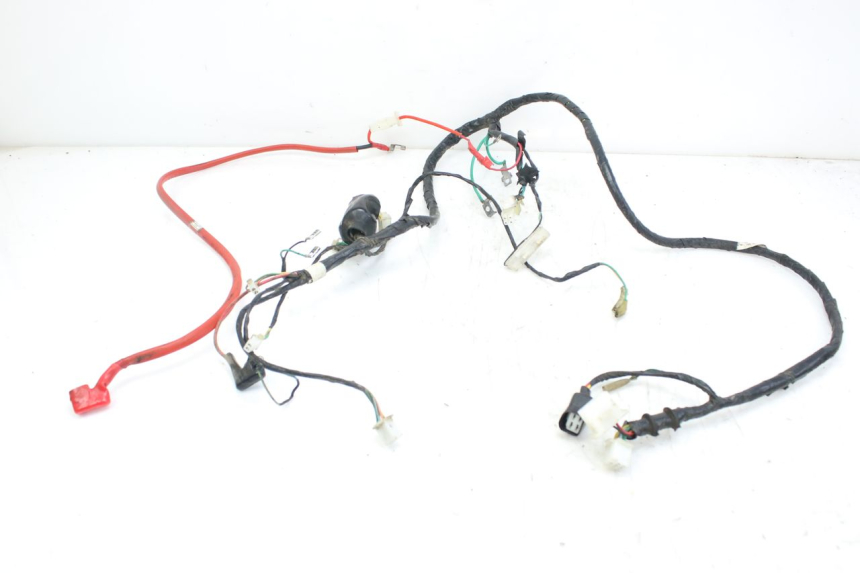 photo de WIRING HARNESS PEUGEOT TWEET 4T 50 (2010 - 2014) - Main view