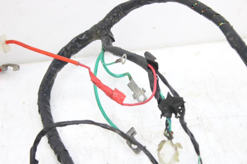 photo de WIRING HARNESS PEUGEOT TWEET 4T 50 (2010 - 2014) - Product overview
