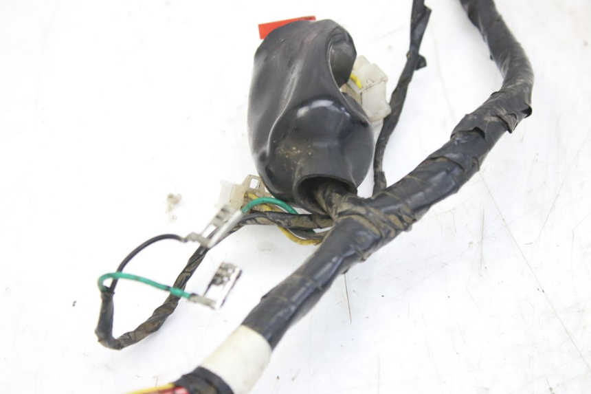 photo de WIRING HARNESS PEUGEOT TWEET 4T 50 (2010 - 2014) - Fixing points details