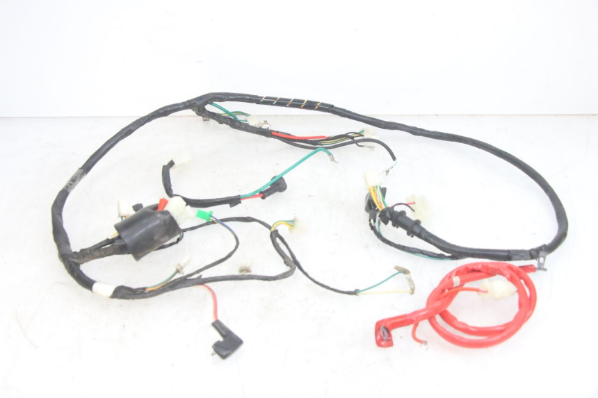 photo de WIRING HARNESS PEUGEOT TWEET 4T 50 (2014 - 2019) - Main view