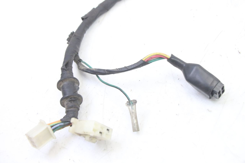 photo de WIRING HARNESS PEUGEOT TWEET 4T 50 (2014 - 2019) - Additional view of the item