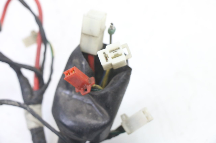 photo de WIRING HARNESS PEUGEOT TWEET 4T 50 (2014 - 2019) - Technical close-up
