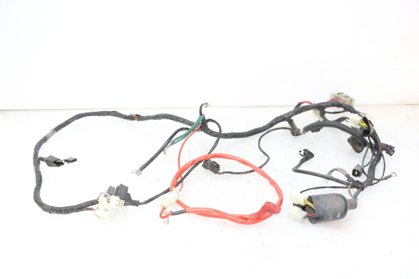 photo de WIRE HARNESS PEUGEOT TWEET PRO CARGO 50 (2018 - 2022) - Main view