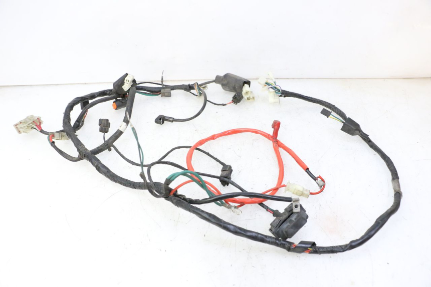photo de WIRE HARNESS PEUGEOT TWEET PRO CARGO 50 (2018 - 2022) - Technical close-up