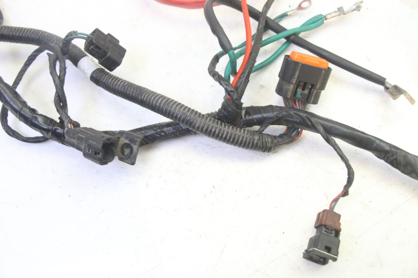photo de WIRE HARNESS PEUGEOT TWEET PRO EFI 4T 50 (2021 - 2022) - Technical close-up