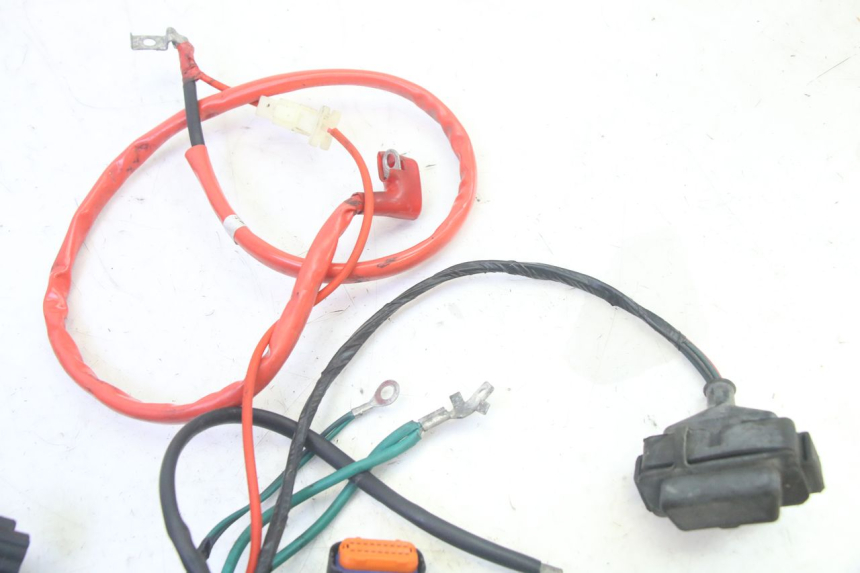 photo de WIRE HARNESS PEUGEOT TWEET PRO EFI 4T 50 (2021 - 2022) - Product overview