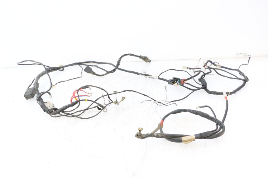photo de WIRE HARNESS PIAGGIO TYPHOON 50 (2000 - 2009) - Main view