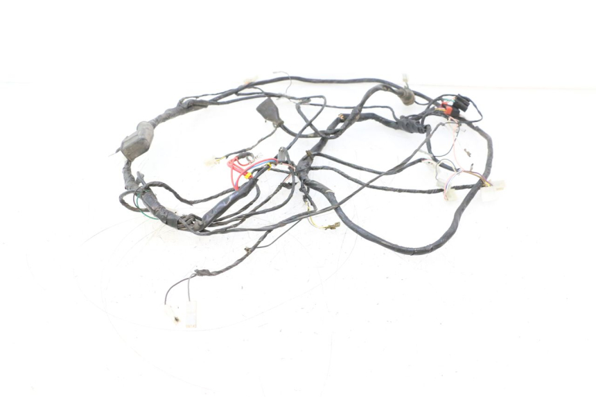 photo de WIRE HARNESS PIAGGIO TYPHOON 50 (2000 - 2009) - Component detail