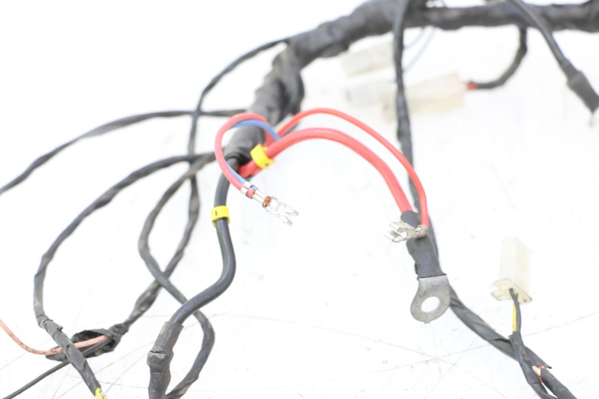 photo de WIRE HARNESS PIAGGIO TYPHOON 50 (2000 - 2009) - Zoom on usage condition