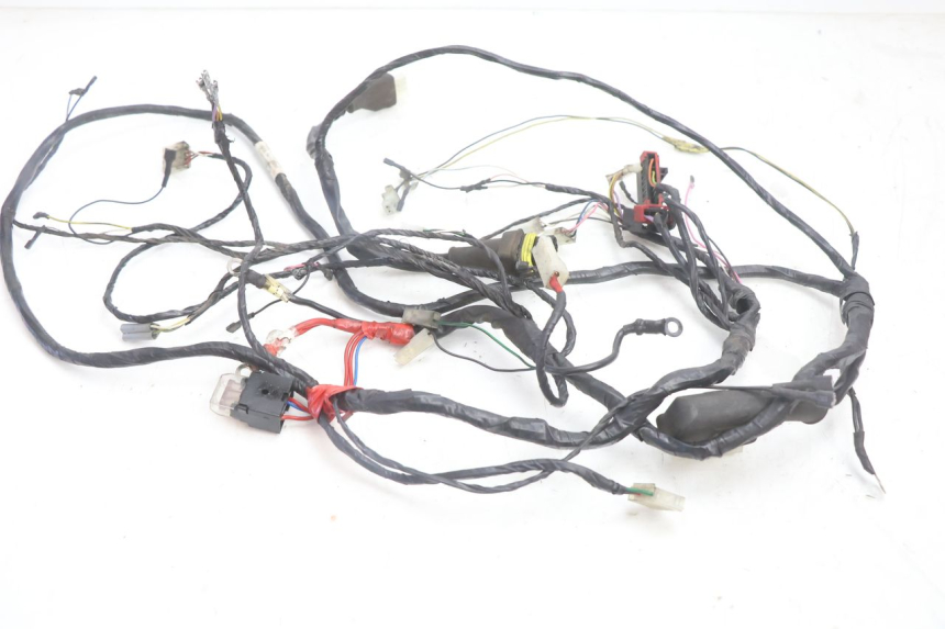 photo de WIRE HARNESS PIAGGIO TYPHOON 50 (2000 - 2009) - Main view