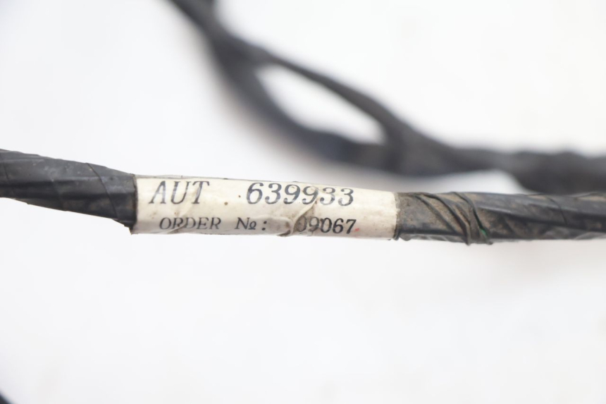 photo de WIRE HARNESS PIAGGIO TYPHOON 50 (2000 - 2009) - Component detail