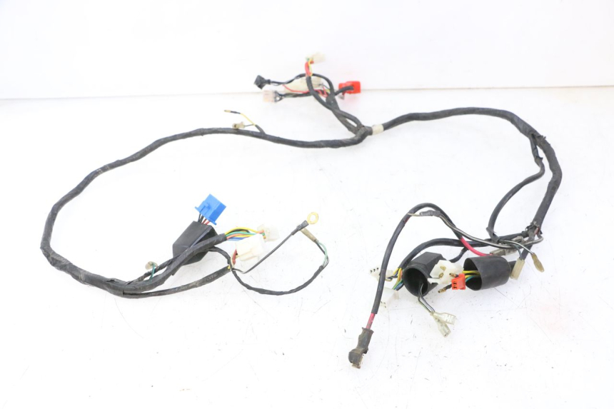 photo de WIRING HARNESS PEUGEOT V-CLIC VCLIC 50 (2007 - 2013) - Main view