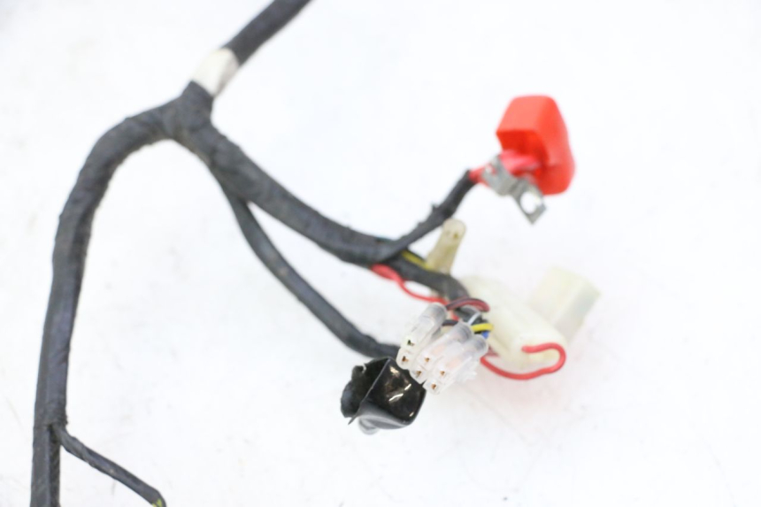 photo de WIRING HARNESS PEUGEOT V-CLIC VCLIC 50 (2007 - 2013) - Component detail