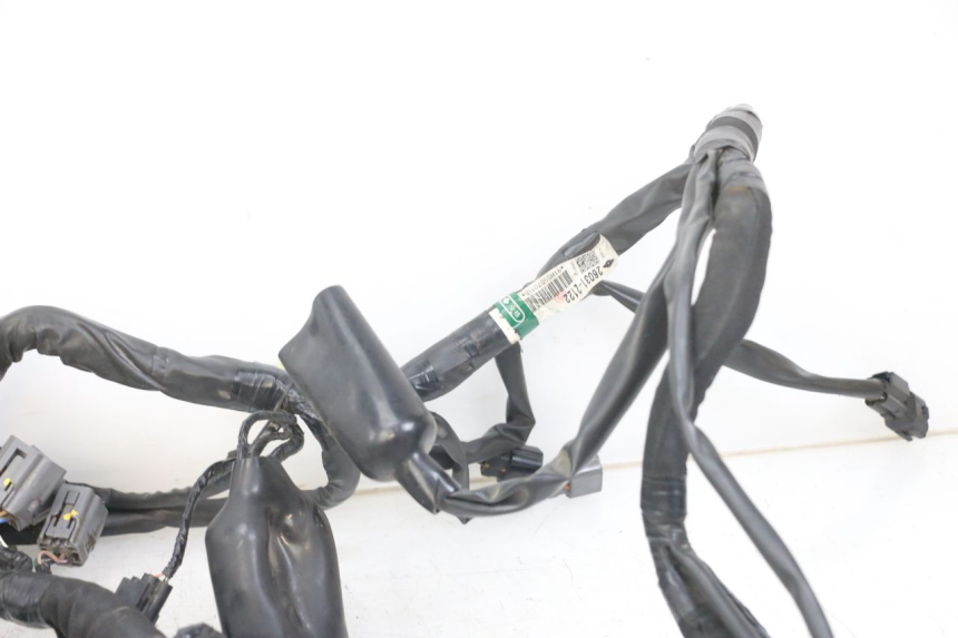 photo de WIRING HARNESS KAWASAKI VERSYS ABS 650 (2015 - 2018) - Surface and material condition