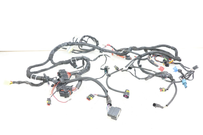 photo de WIRE HARNESS PIAGGIO VESPA PRIMAVERA 4T 50 (2021 - 2024) - Main view