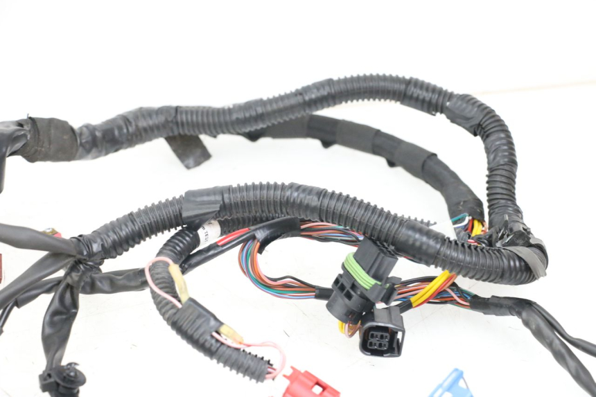 photo de WIRE HARNESS PIAGGIO VESPA PRIMAVERA 4T 50 (2021 - 2024) - Distinctive features