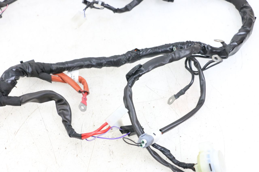 photo de WIRE HARNESS PIAGGIO VESPA PRIMAVERA 4T 50 (2021 - 2024) - Technical close-up