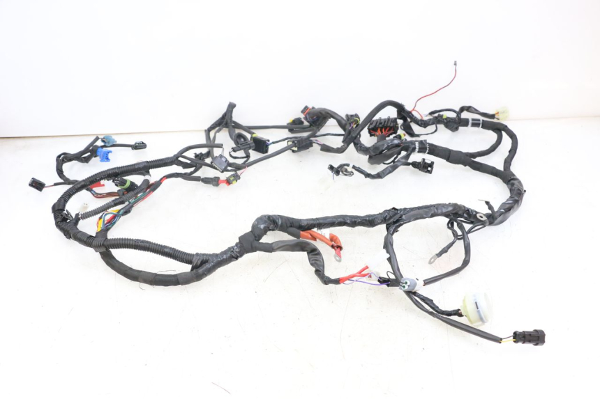 photo de WIRE HARNESS PIAGGIO VESPA PRIMAVERA 4T 50 (2021 - 2024) - Product overview