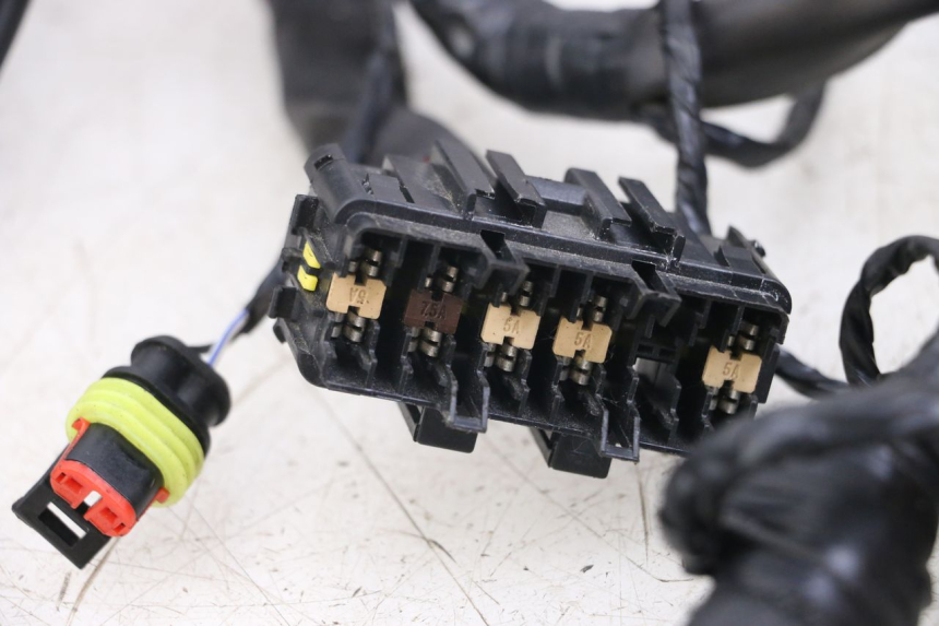 photo de WIRE HARNESS PIAGGIO VESPA PRIMAVERA 4T 50 (2021 - 2024) - Fixing points details