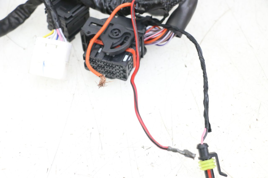 photo de WIRE HARNESS PIAGGIO VESPA PRIMAVERA 4T 50 (2021 - 2024) - Markings and original references