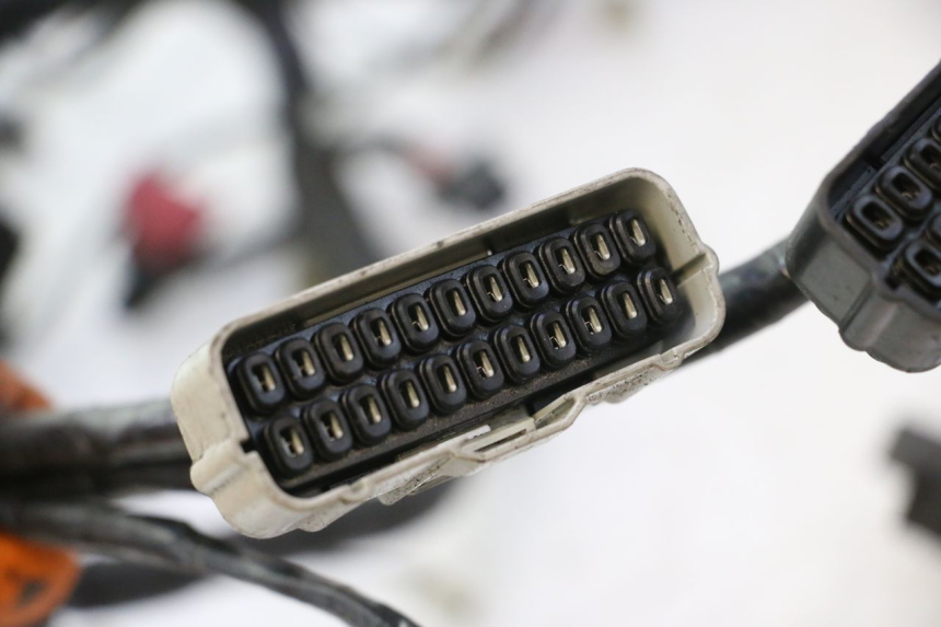 photo de WIRE HARNESS HONDA VFR FI RC46 800 (1998 - 2001) - Detailed visual inspection