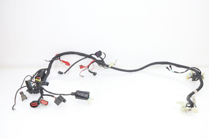 photo de WIRE HARNESS JM MOTORS VIPER 4T 50 (2015 - 2022) - Main view