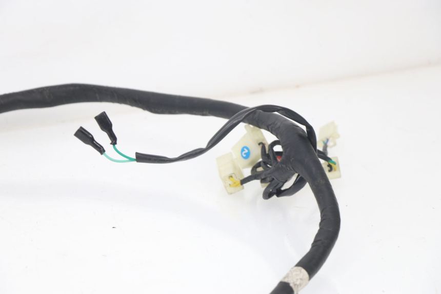 photo de WIRE HARNESS JM MOTORS VIPER 4T 50 (2015 - 2022) - Checked used part