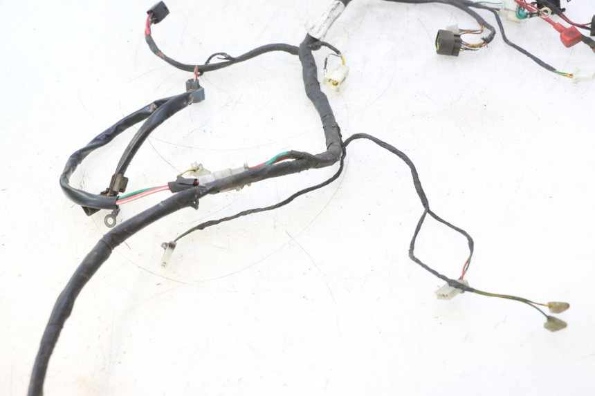 photo de WIRING HARNESS PEUGEOT VIVACITY NEW 2T 50 (2008 - 2017) - Distinctive features