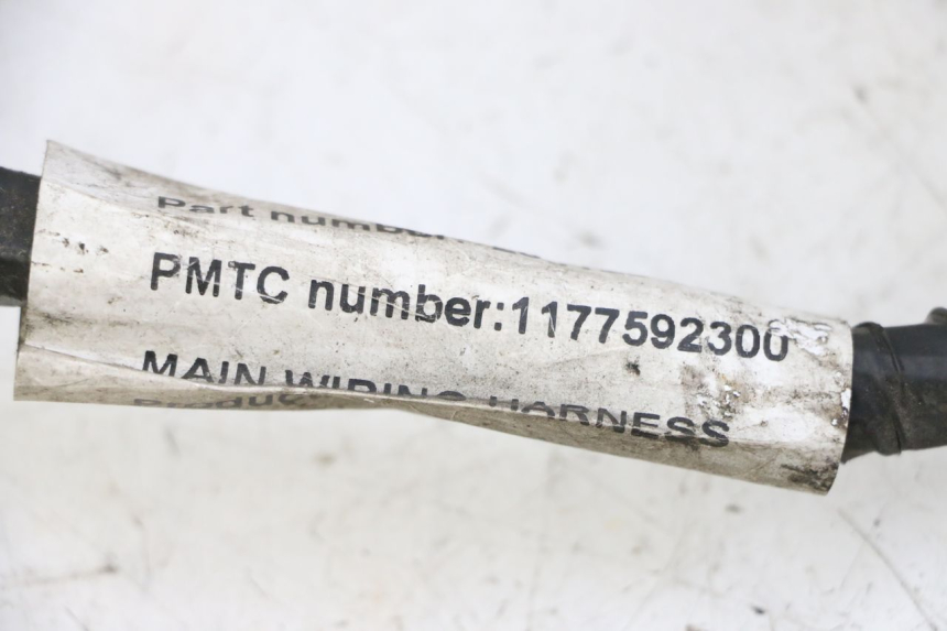 photo de WIRING HARNESS PEUGEOT VIVACITY NEW 4T 50 (2008 - 2017) - Markings and original references