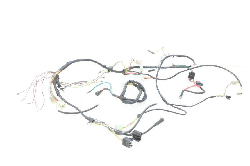 photo de WIRE HARNESS PEUGEOT VIVACITY 50 (1998 - 2003) - Main view