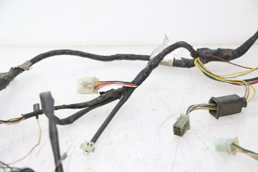photo de WIRING HARNESS PEUGEOT VIVACITY 50 (2004 - 2009) - Detailed visual inspection