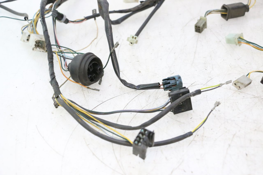 photo de WIRING HARNESS PEUGEOT VIVACITY 50 (2004 - 2009) - Focus on structure