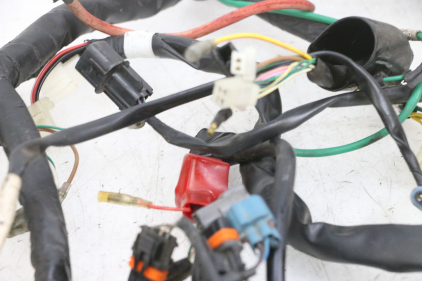photo de WIRING HARNESS DAELIM VJ ROADWIN FI 125 (2008 - 2017) - Technical close-up