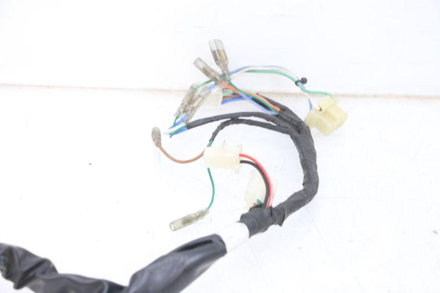 photo de WIRING HARNESS DAELIM VJ ROADWIN FI 125 (2008 - 2017) - Product overview