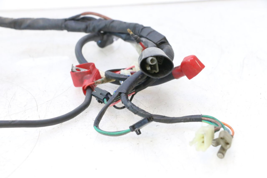 photo de WIRE HARNESS DAELIM VJ ROADWIN 125 (2004 - 2007) - Markings and original references