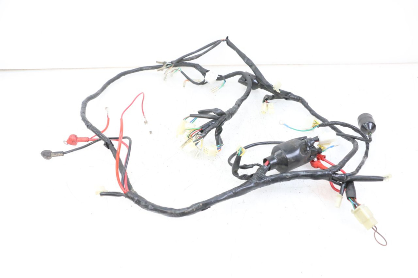 photo de WIRE HARNESS JM MOTORS VX 125 (2022 - 2025) - Technical close-up