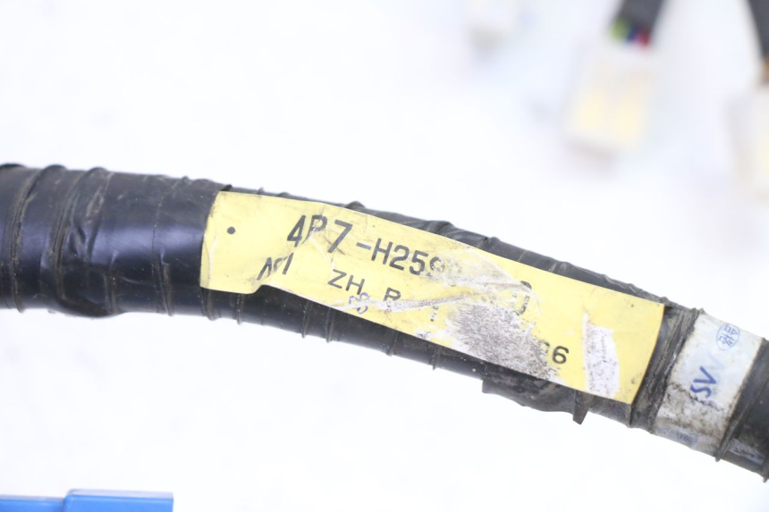 photo de WIRE HARNESS MBK WAAP 125 (2008 - 2013) - Fixing points details