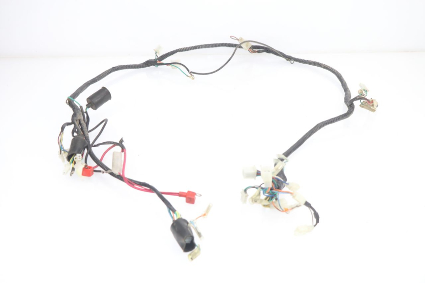 photo de WIRE HARNESS BHM WACO 4T 50 (2008 - 2015) - Main view