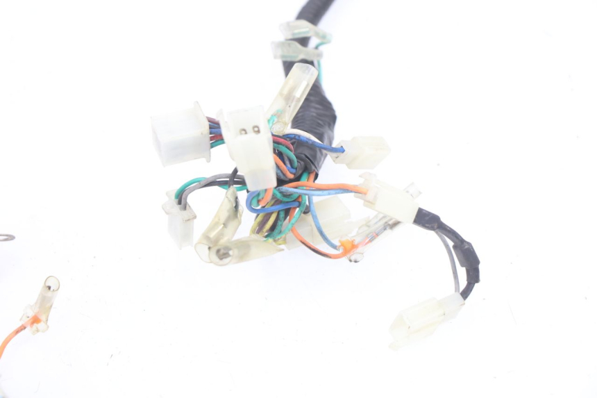 photo de WIRE HARNESS BHM WACO 4T 50 (2008 - 2015) - Checked used part