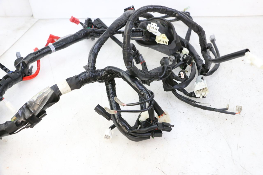 photo de WIRE HARNESS YAMAHA XMAX X-MAX 125 (2021 - 2025) - Component detail
